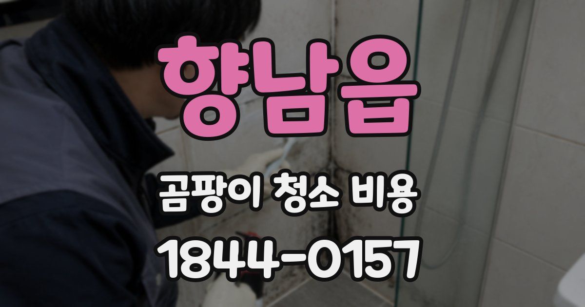 향남읍 곰팡이 청소 비용