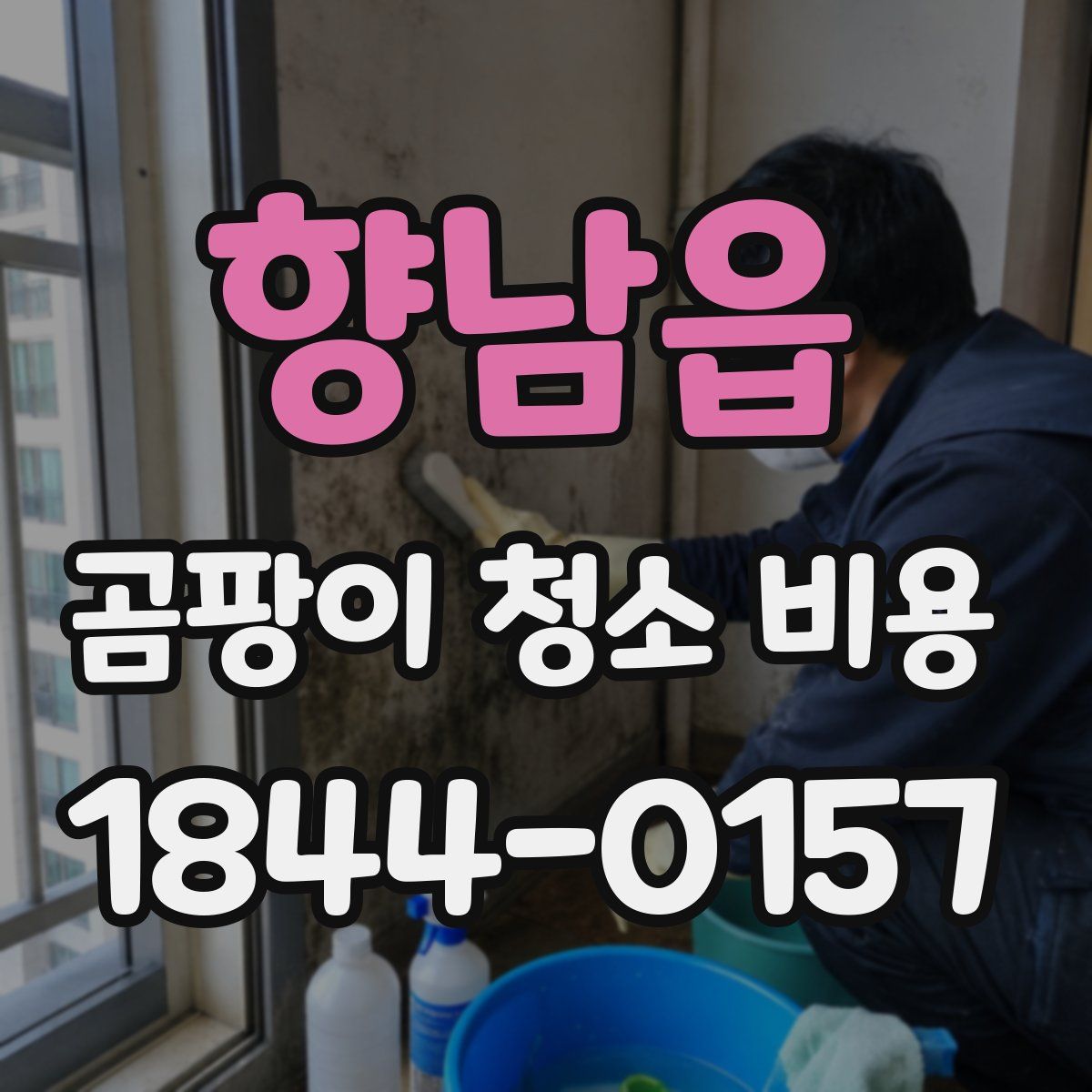 향남읍 곰팡이 청소 비용