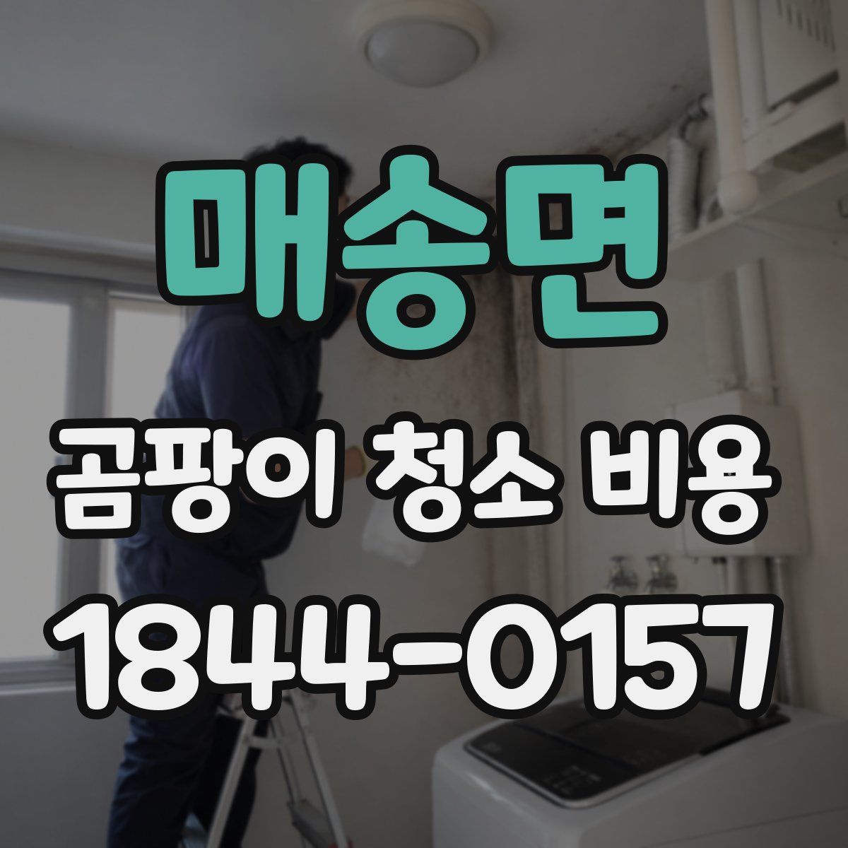 매송면 곰팡이 청소 비용