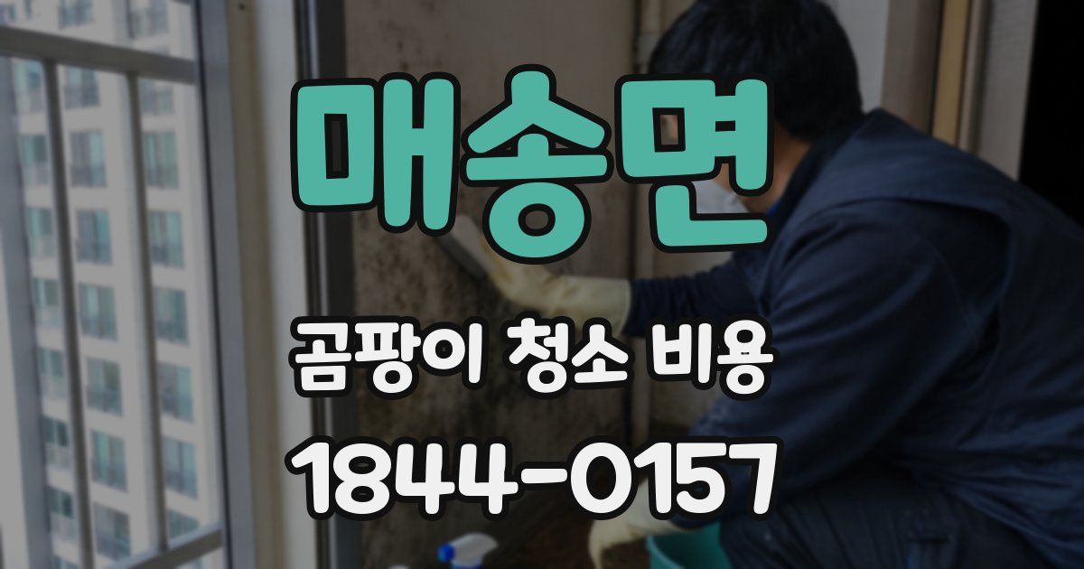 매송면 곰팡이 청소 비용