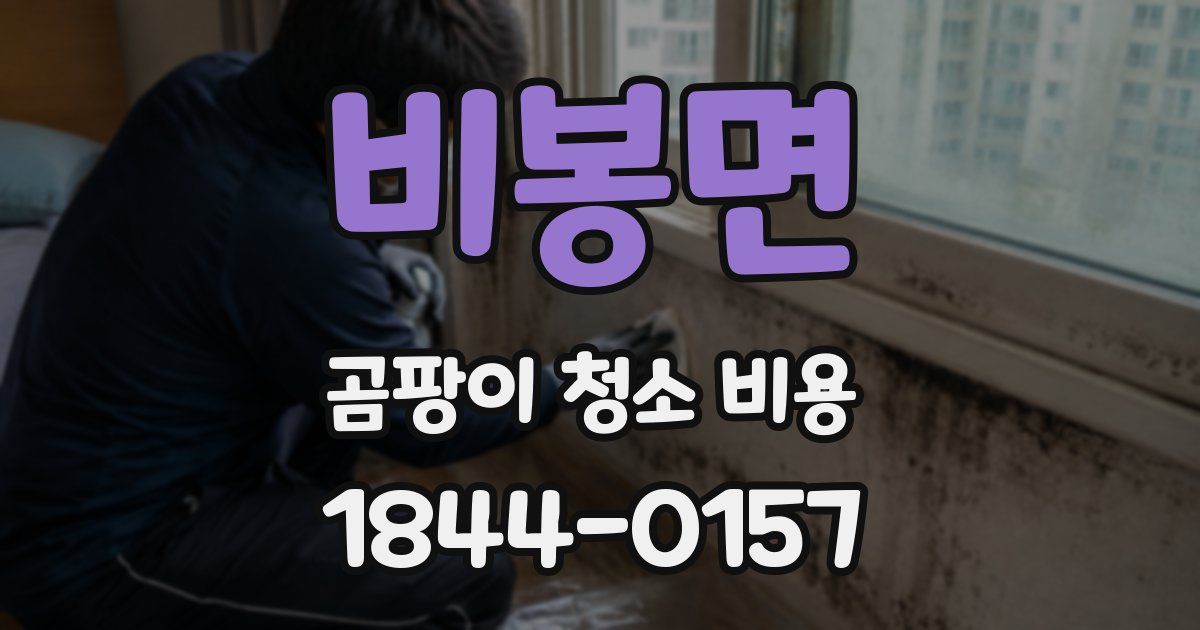 비봉면 곰팡이 청소 비용