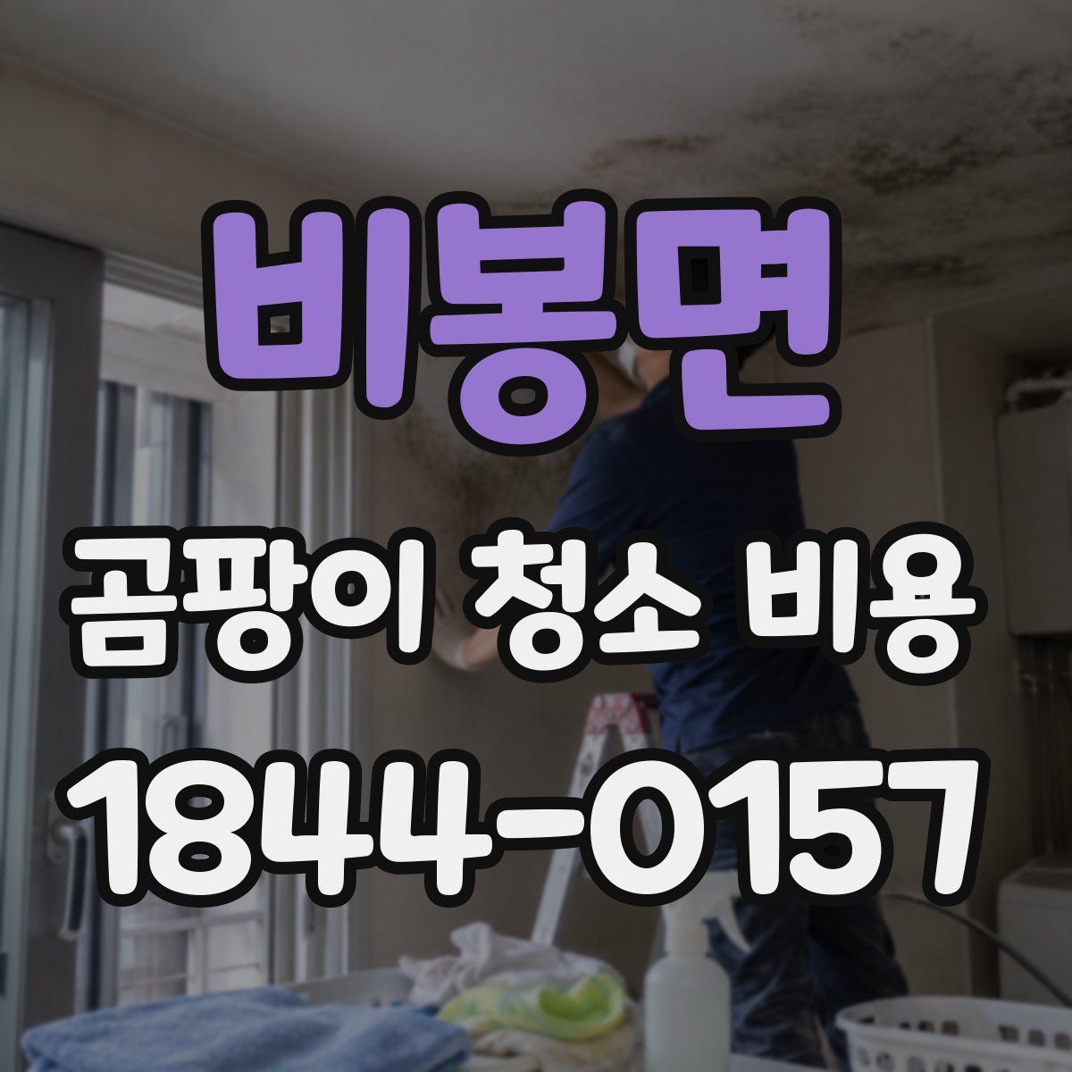 비봉면 곰팡이 청소 비용