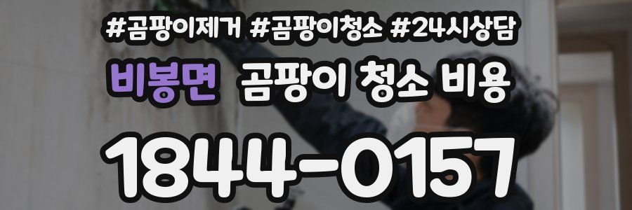 비봉면 곰팡이 청소 비용