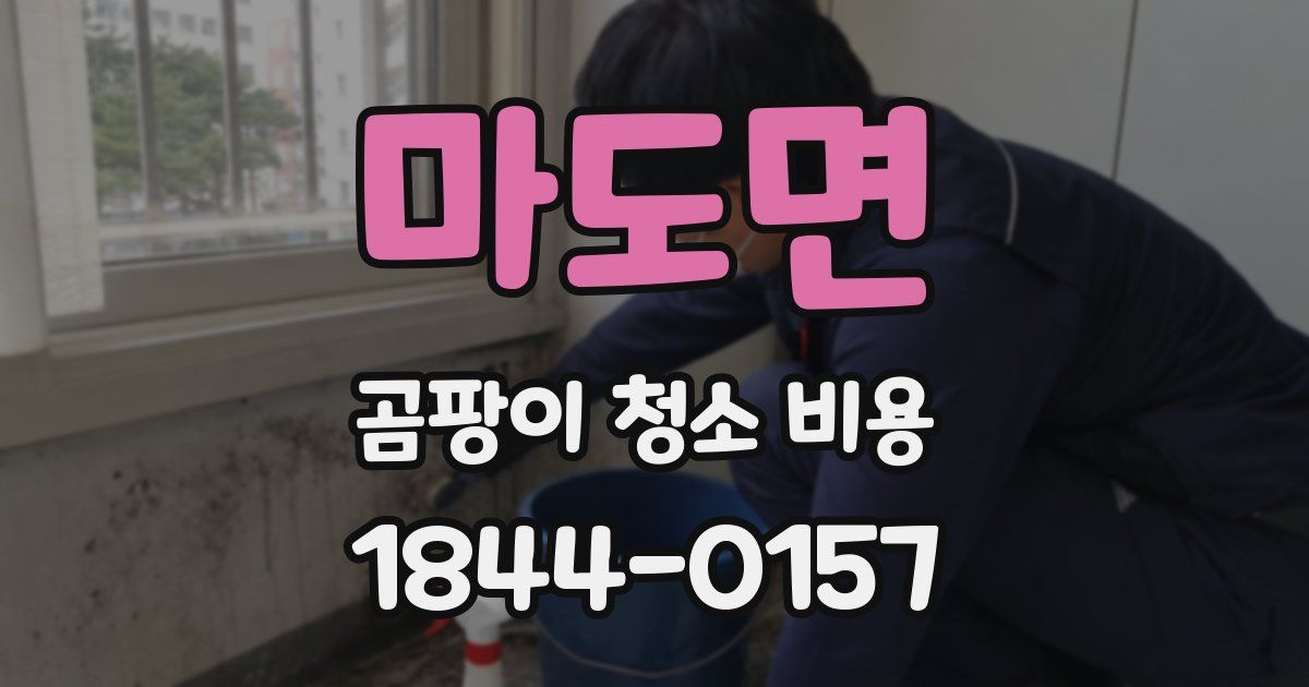 마도면 곰팡이 청소 비용