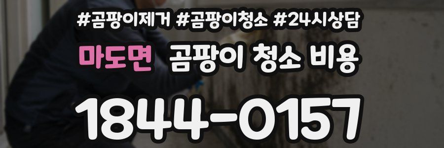마도면 곰팡이 청소 비용
