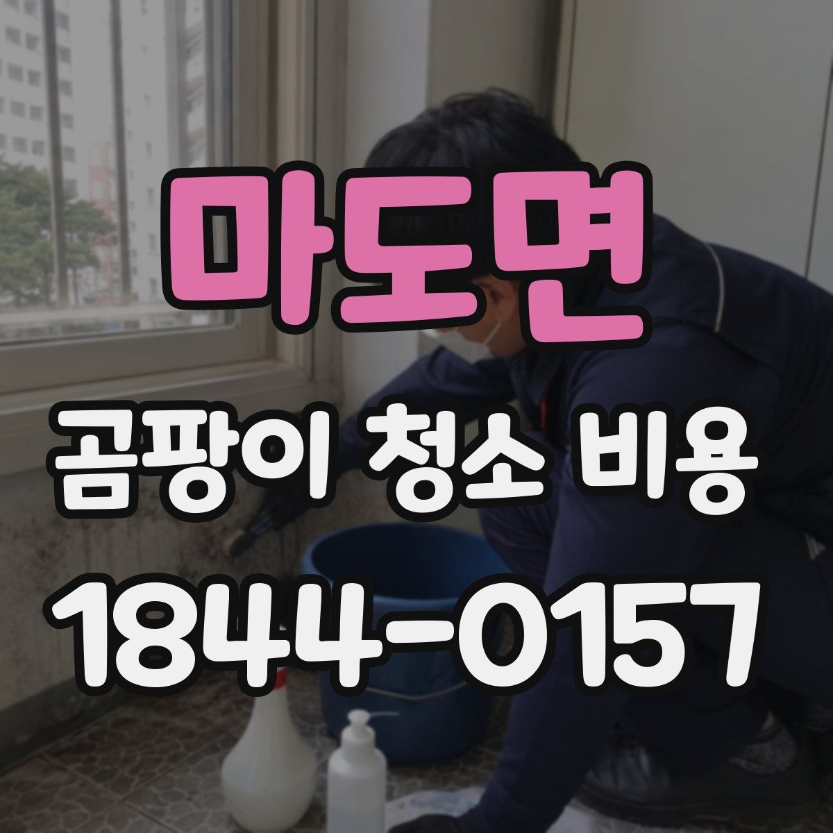 마도면 곰팡이 청소 비용