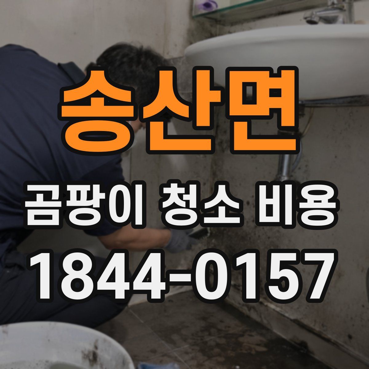 송산면 곰팡이 청소 비용