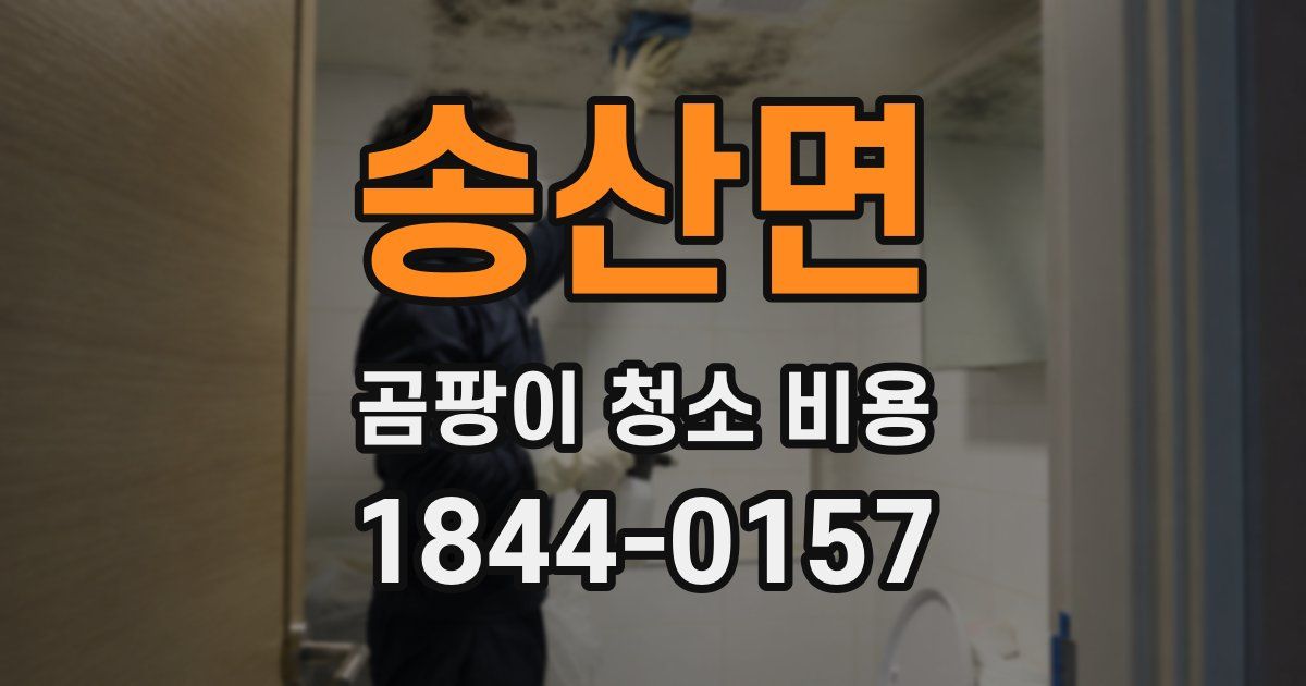 송산면 곰팡이 청소 비용