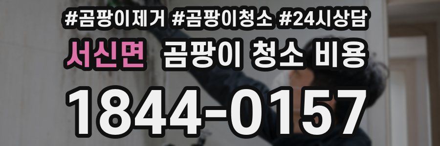서신면 곰팡이 청소 비용