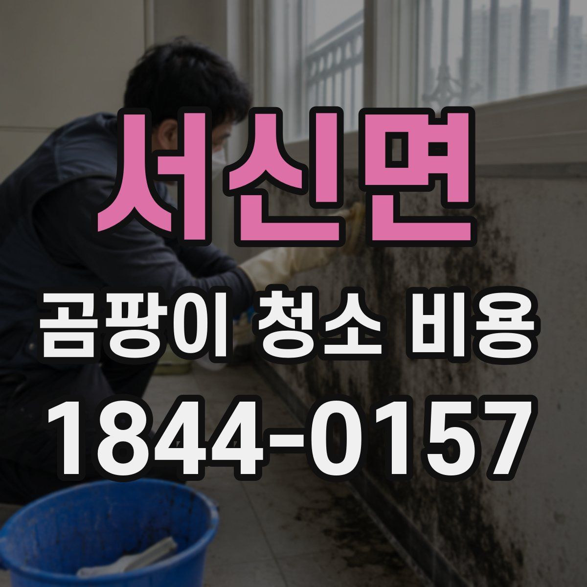 서신면 곰팡이 청소 비용