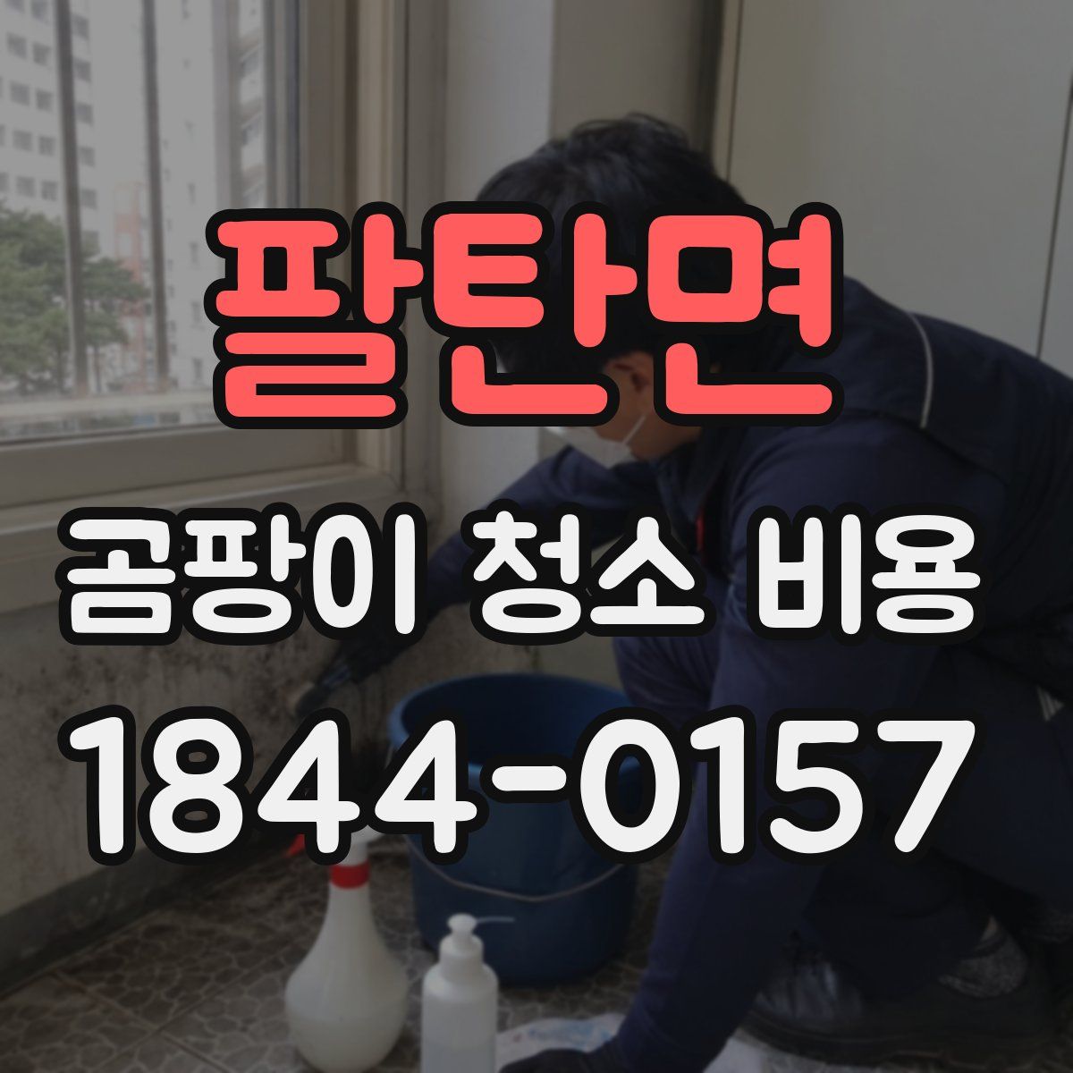 팔탄면 곰팡이 청소 비용
