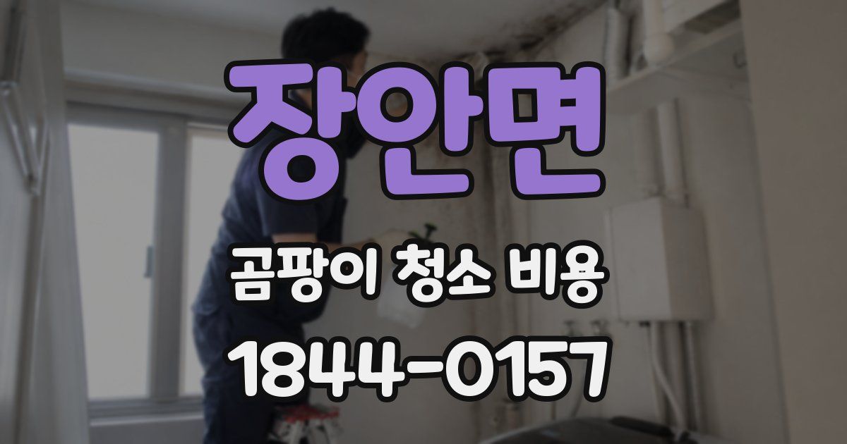 장안면 곰팡이 청소 비용