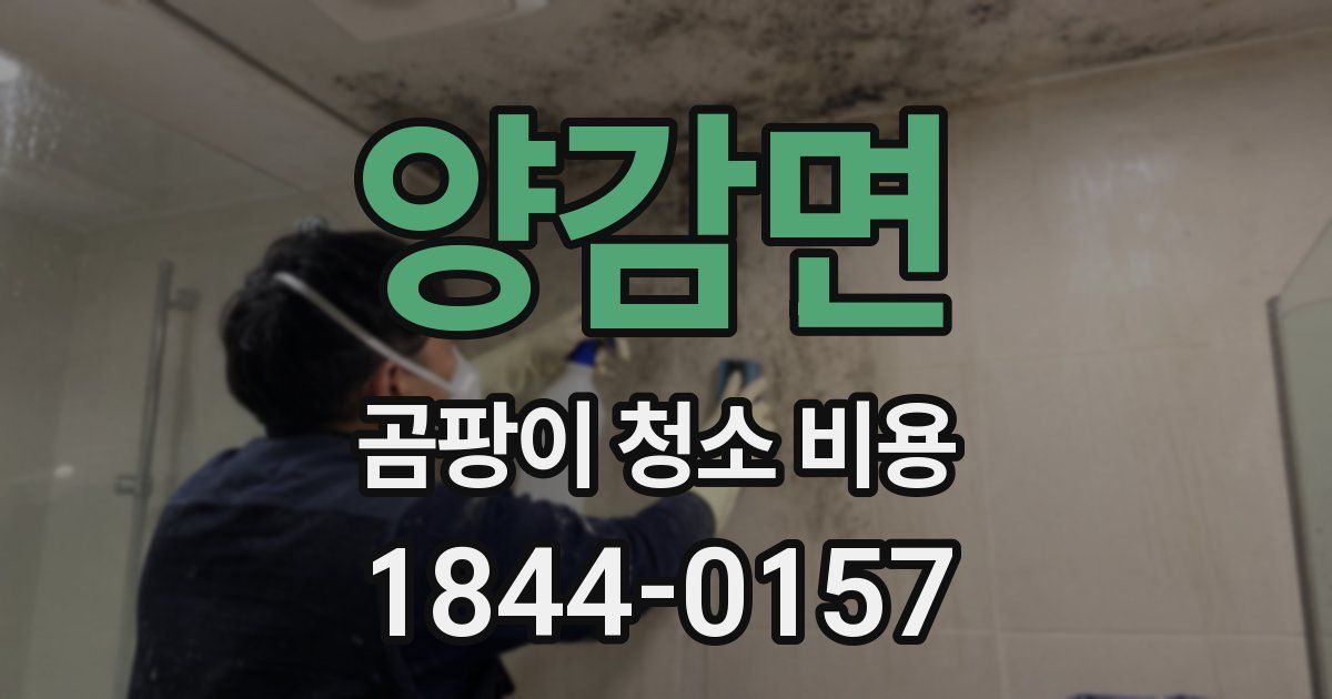 양감면 곰팡이 청소 비용