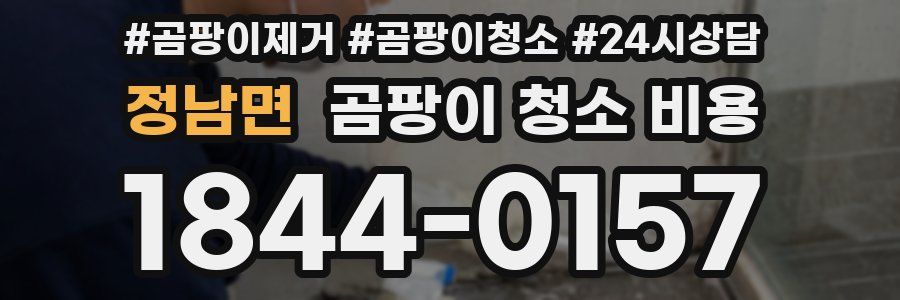 정남면 곰팡이 청소 비용