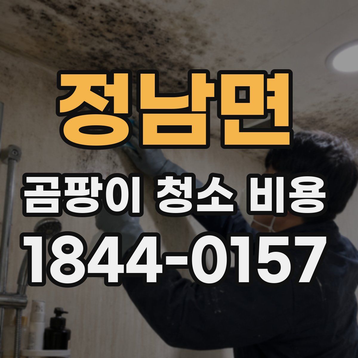 정남면 곰팡이 청소 비용