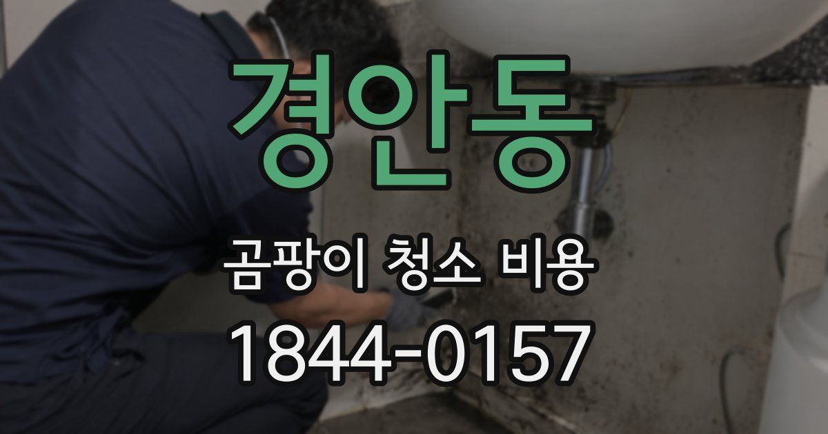 경안동 곰팡이 청소 비용