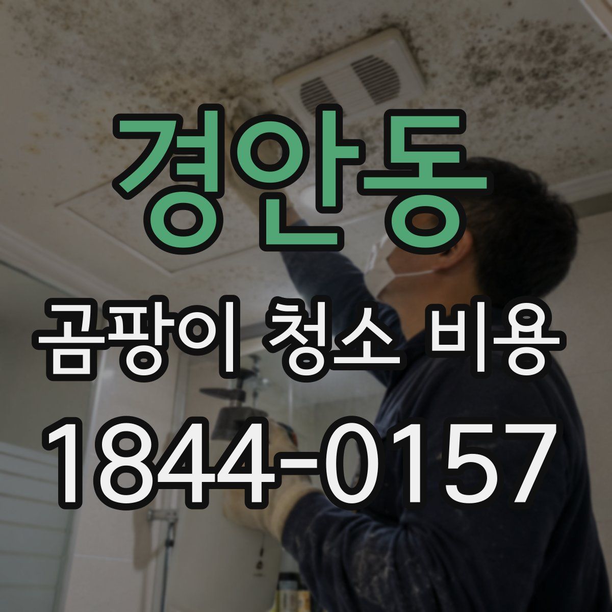 경안동 곰팡이 청소 비용
