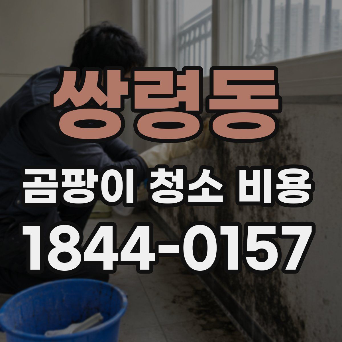 쌍령동 곰팡이 청소 비용