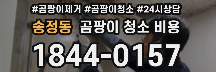 송정동 곰팡이 청소 비용