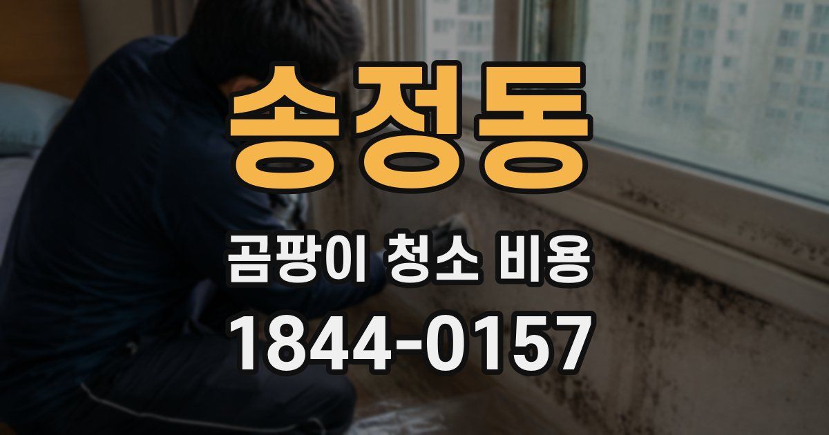 송정동 곰팡이 청소 비용