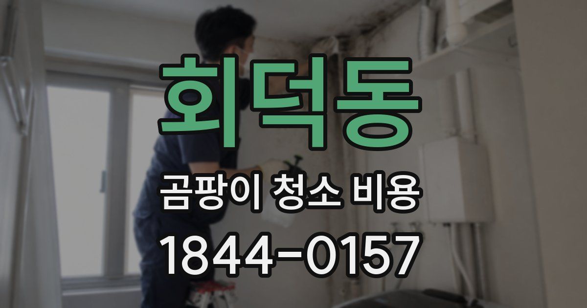 회덕동 곰팡이 청소 비용