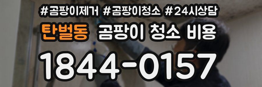 탄벌동 곰팡이 청소 비용