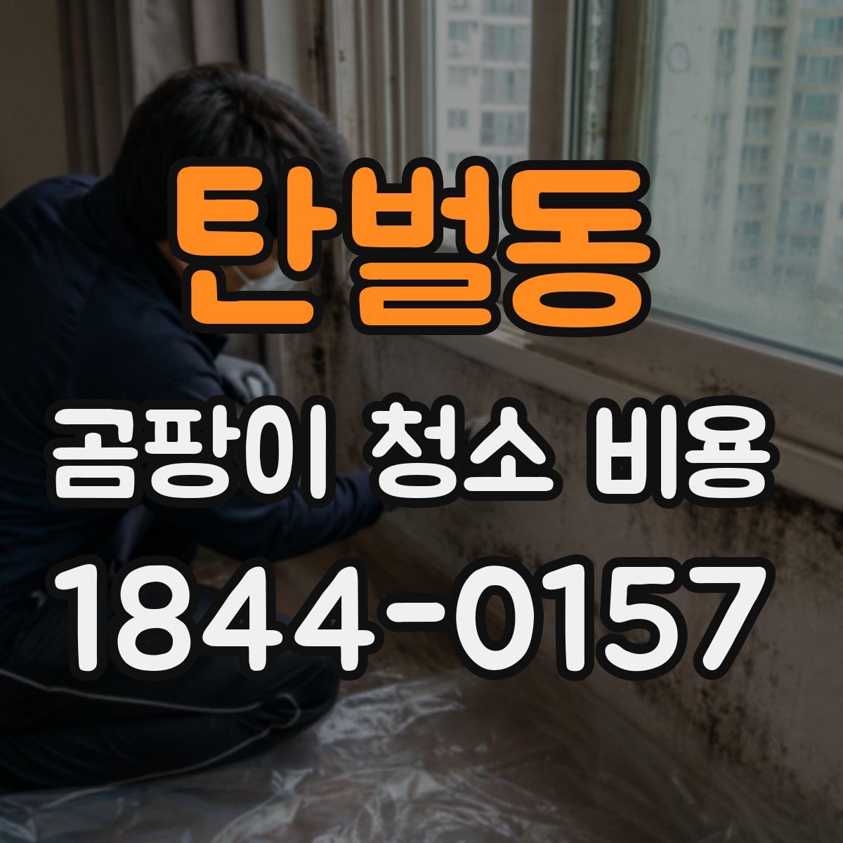 탄벌동 곰팡이 청소 비용