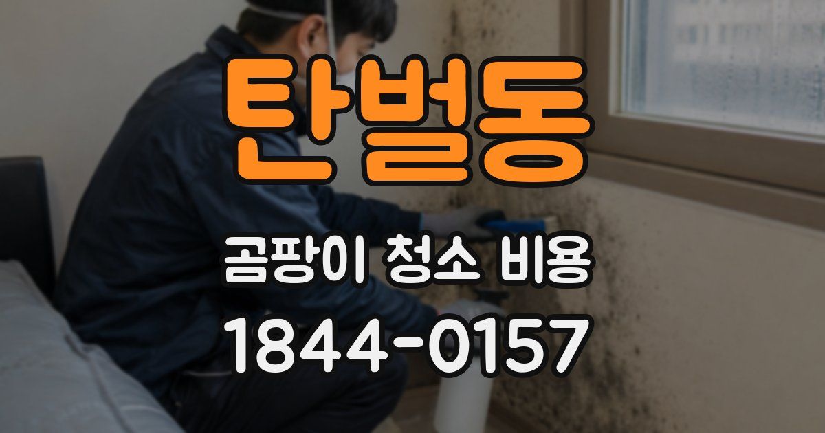 탄벌동 곰팡이 청소 비용