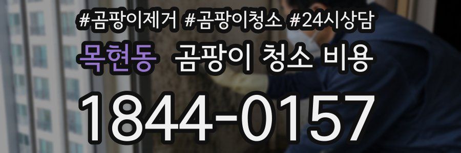 목현동 곰팡이 청소 비용