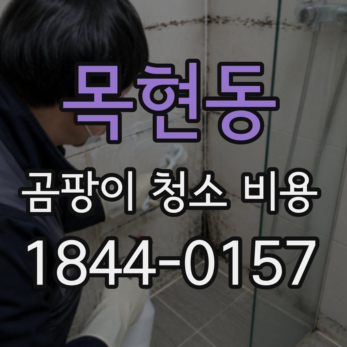 목현동 곰팡이 청소 비용