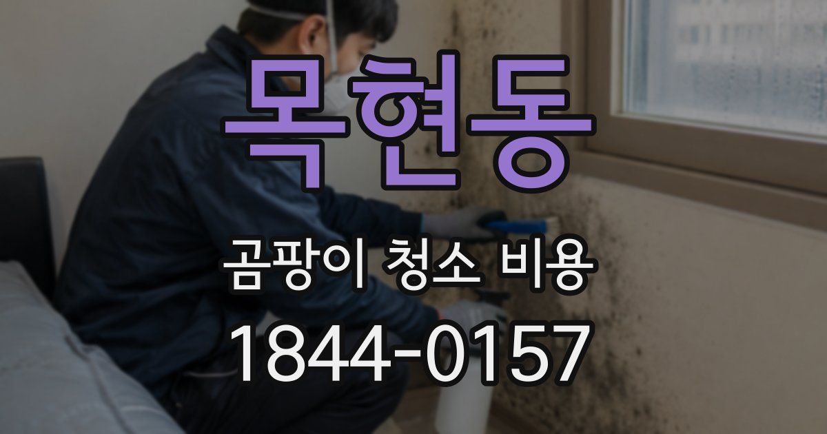 목현동 곰팡이 청소 비용
