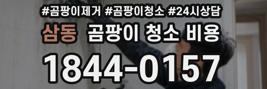 삼동 곰팡이 청소 비용