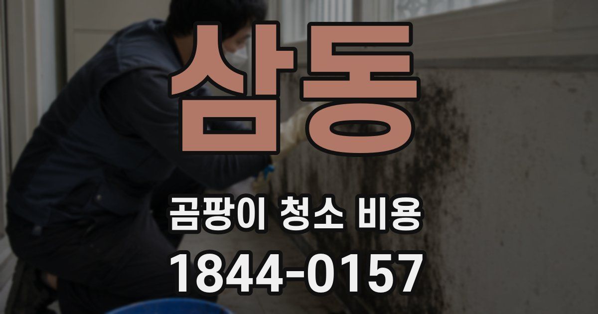 삼동 곰팡이 청소 비용