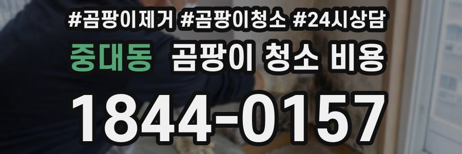 중대동 곰팡이 청소 비용