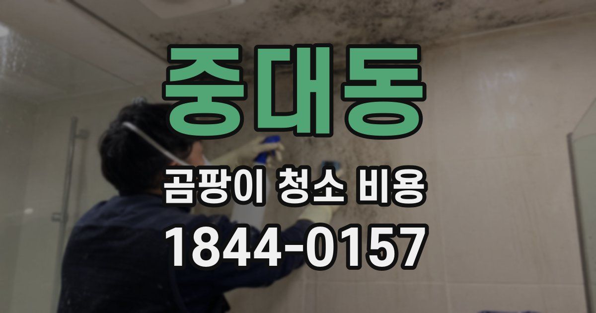 중대동 곰팡이 청소 비용