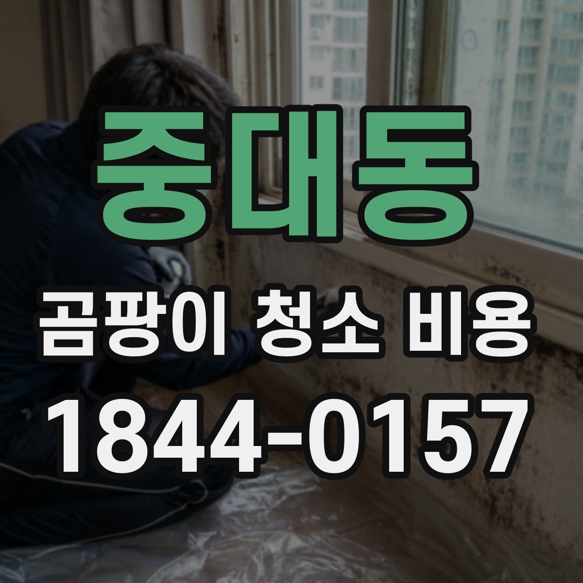 중대동 곰팡이 청소 비용