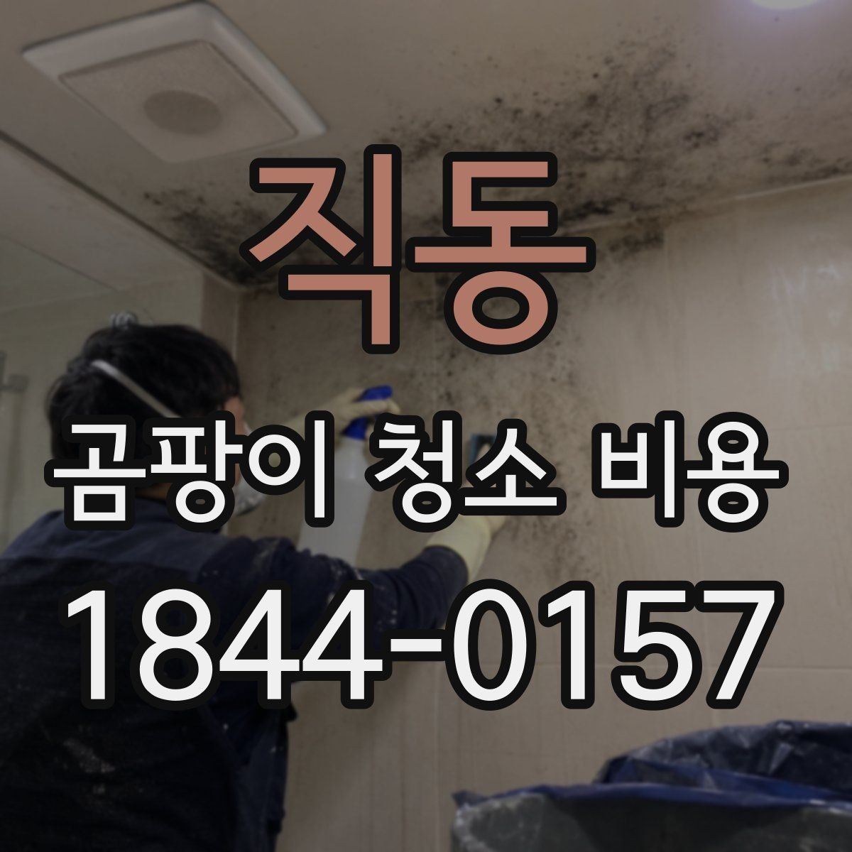 직동 곰팡이 청소 비용 누수 흔적이 남은 곳의 추가 조치