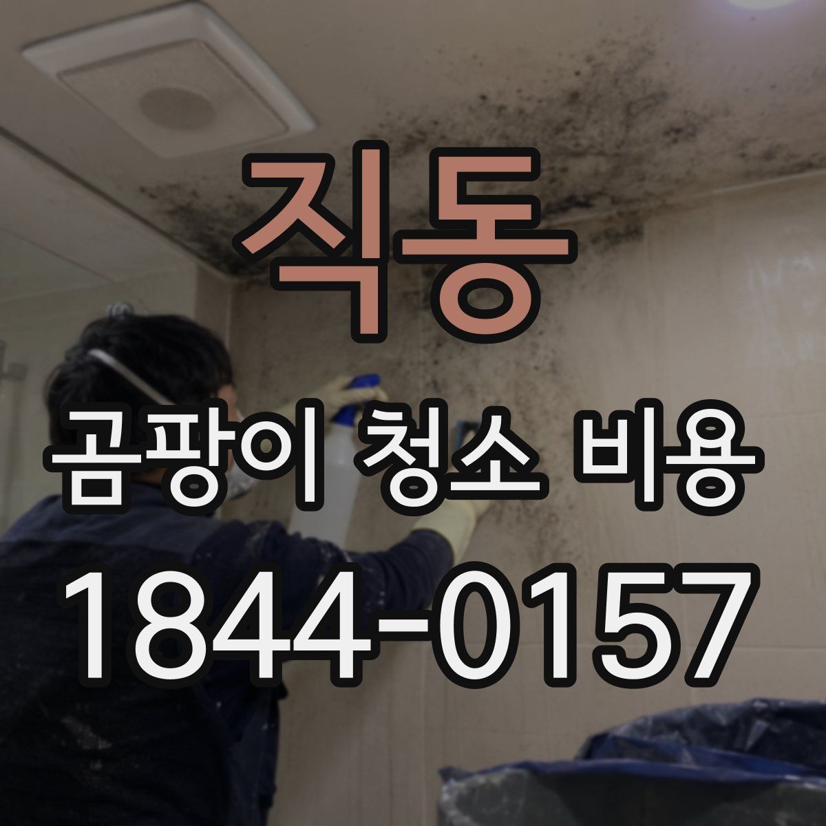 직동 곰팡이 청소 비용