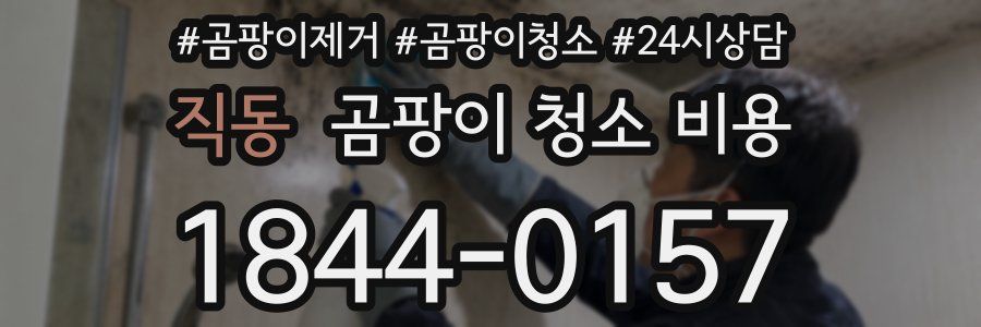 직동 곰팡이 청소 비용