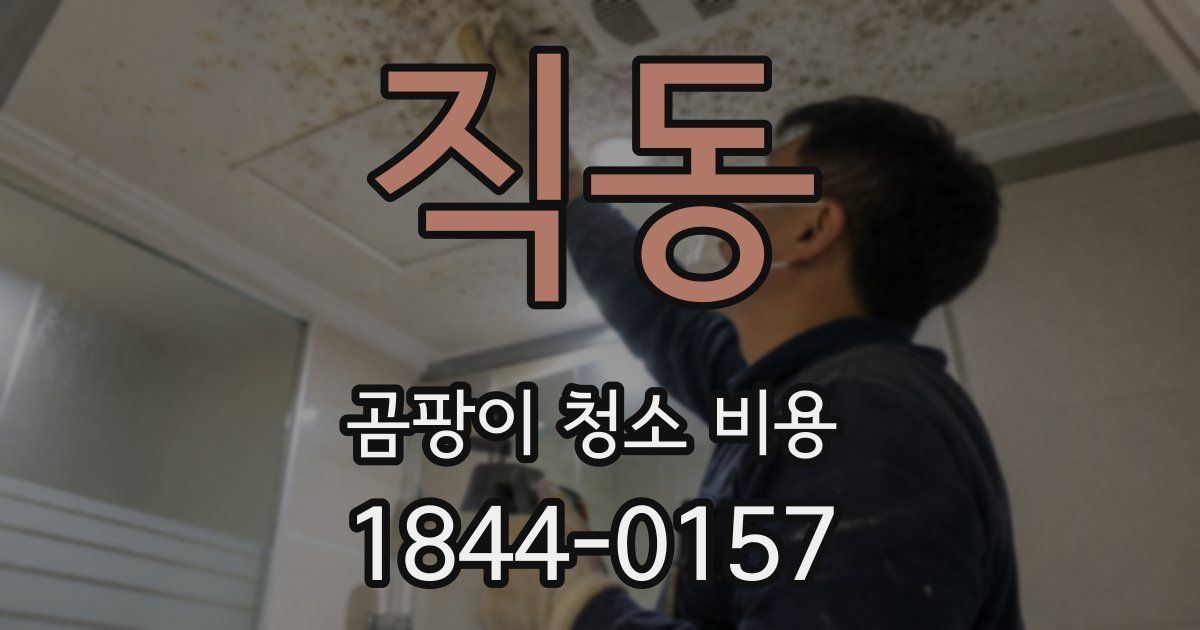 직동 곰팡이 청소 비용