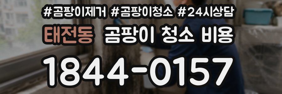 태전동 곰팡이 청소 비용