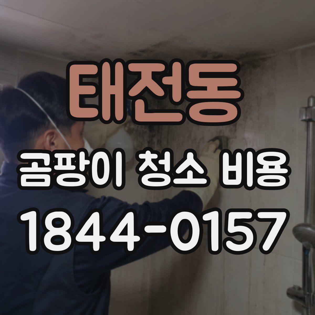 태전동 곰팡이 청소 비용
