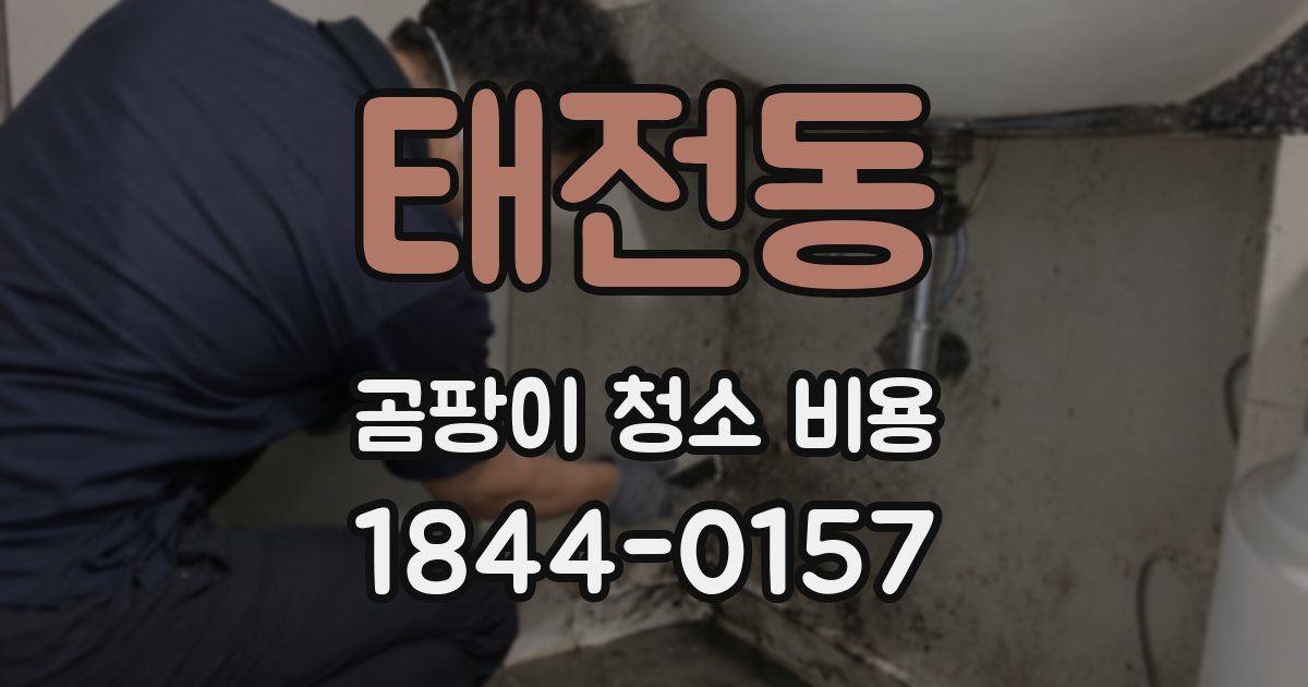 태전동 곰팡이 청소 비용