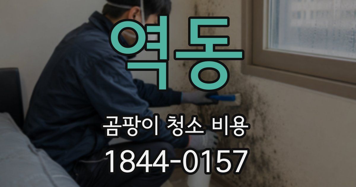 역동 곰팡이 청소 비용