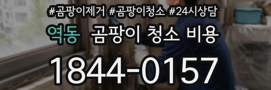 역동 곰팡이 청소 비용