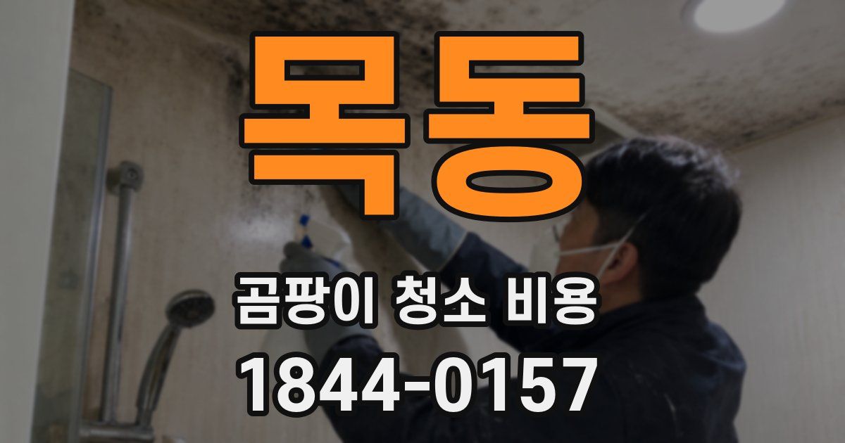 목동 곰팡이 청소 비용