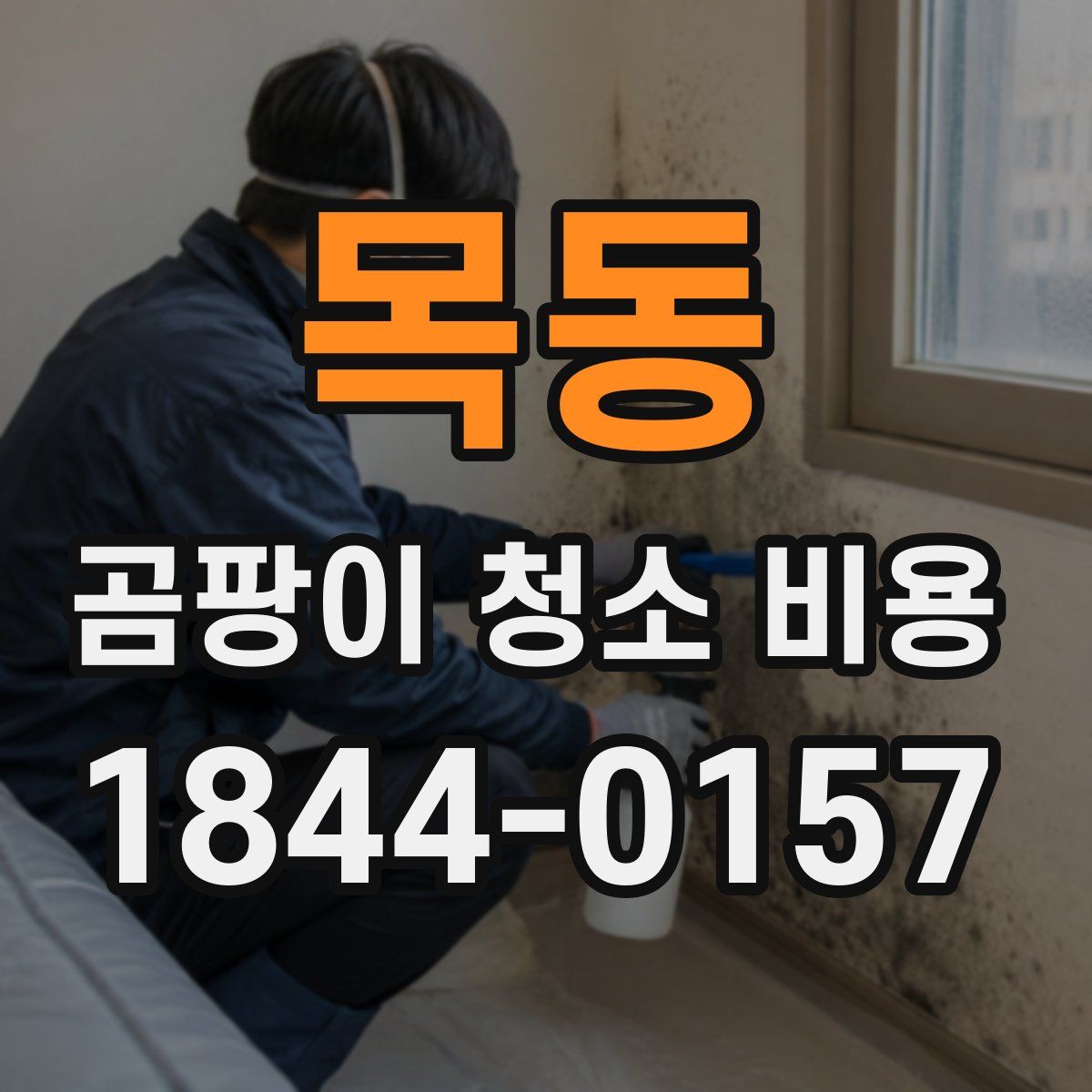 목동 곰팡이 청소 비용