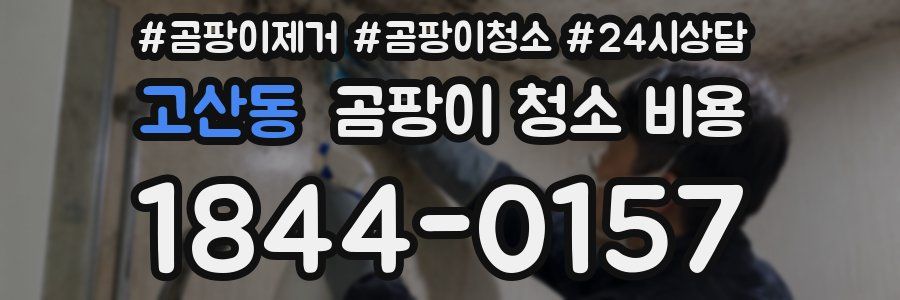 고산동 곰팡이 청소 비용