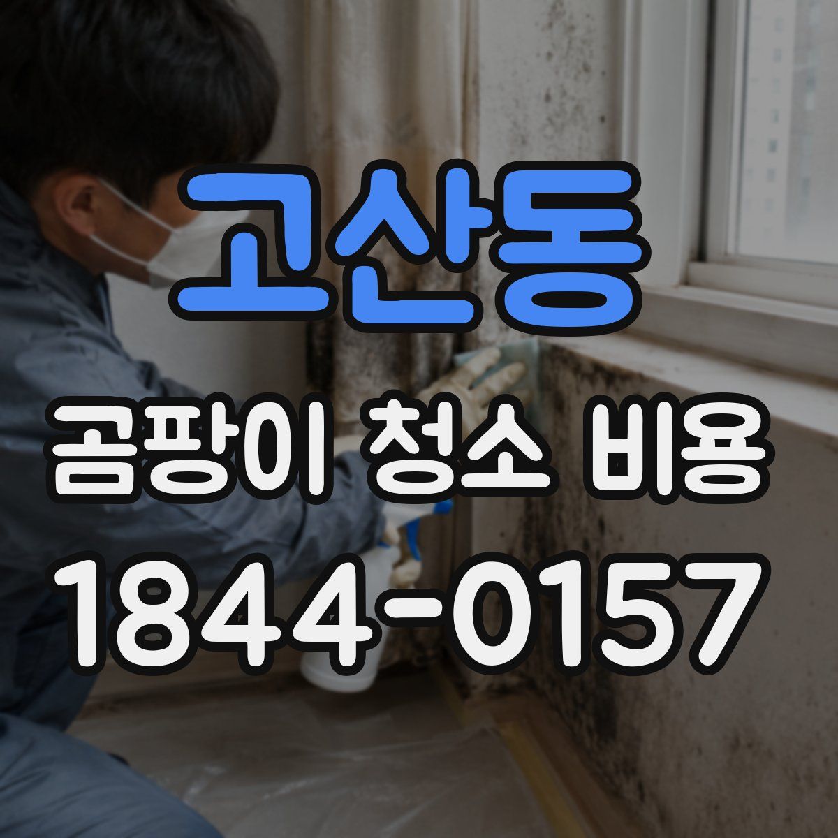 고산동 곰팡이 청소 비용
