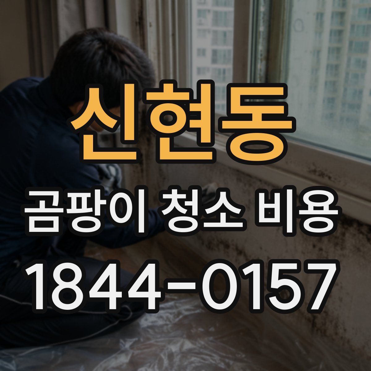 신현동 곰팡이 청소 비용